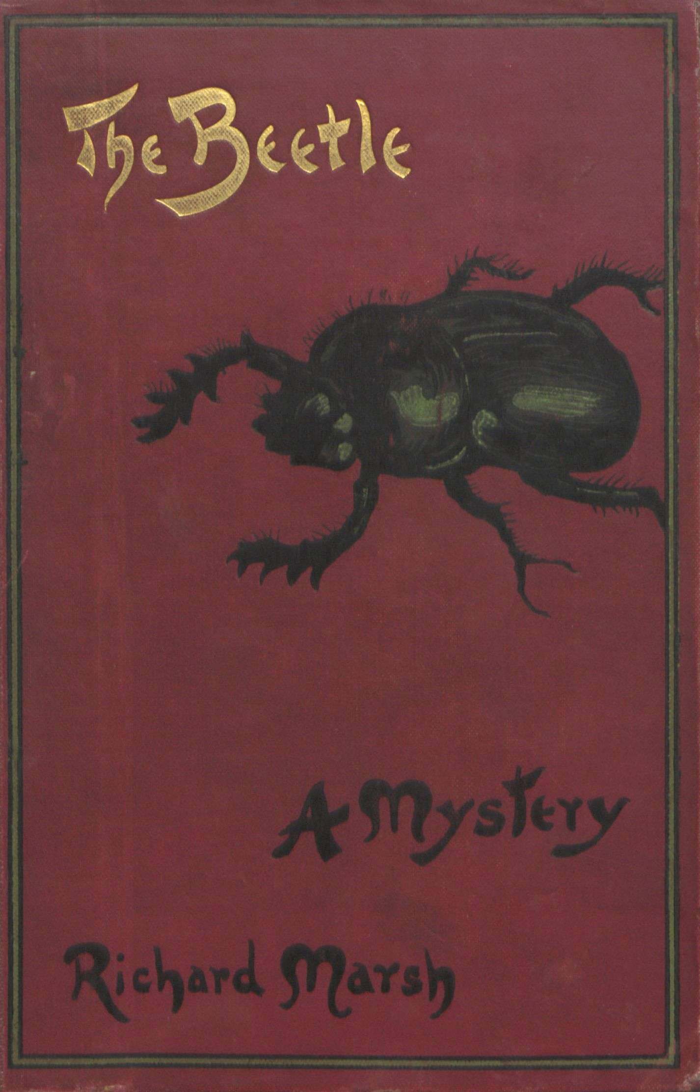 Skeffington 1897 front cover